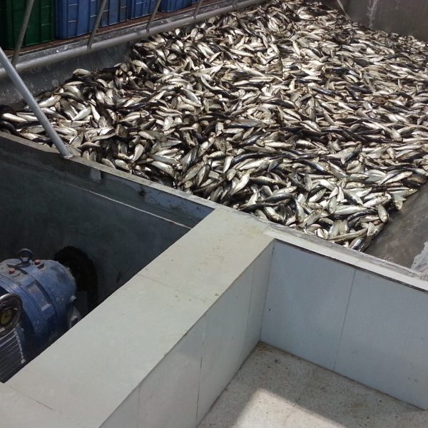 1 raw material feeding 1